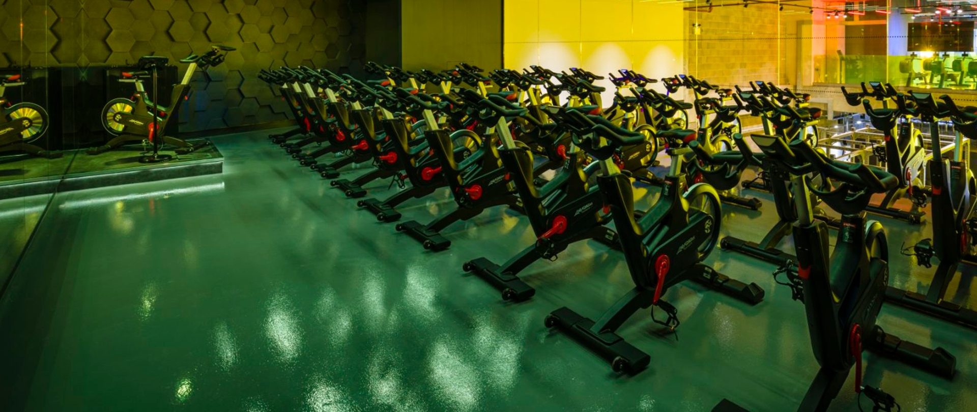 Elephant and Castle Sin Studio. Two rows of IC7 spin bikes can be seen with a view of the gym in the window behind
