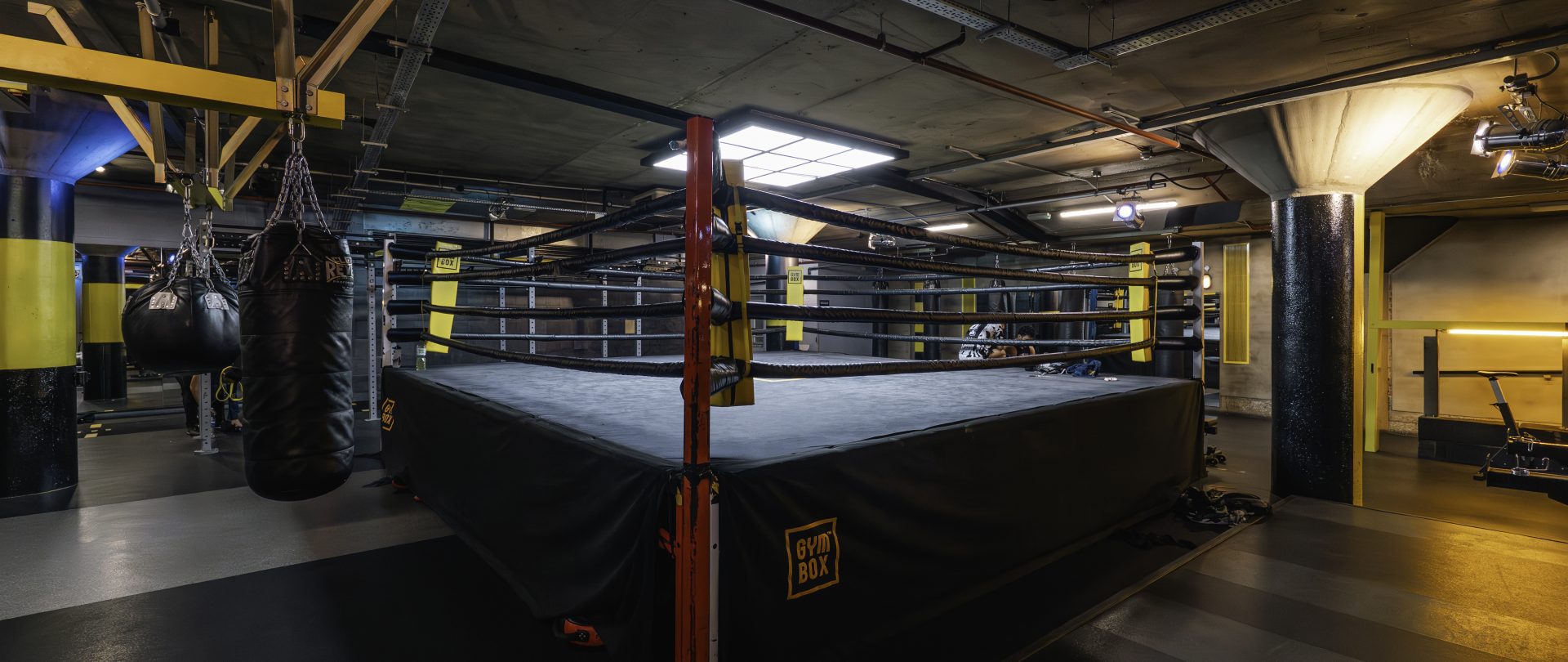 Best Gym in Holborn Olympic Sized Boxing Ring