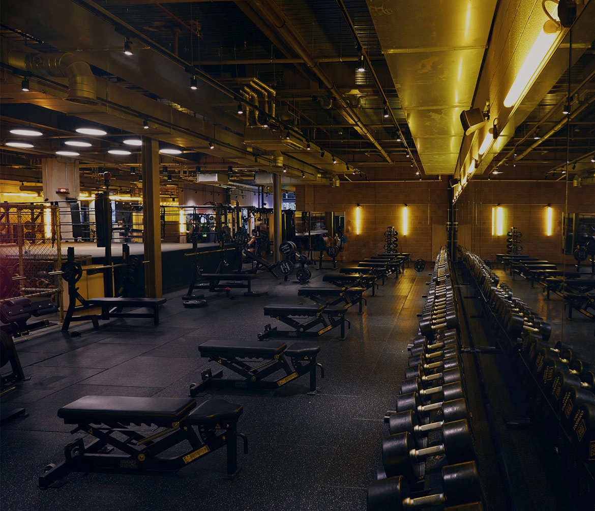Gymbox Elephant & Castle