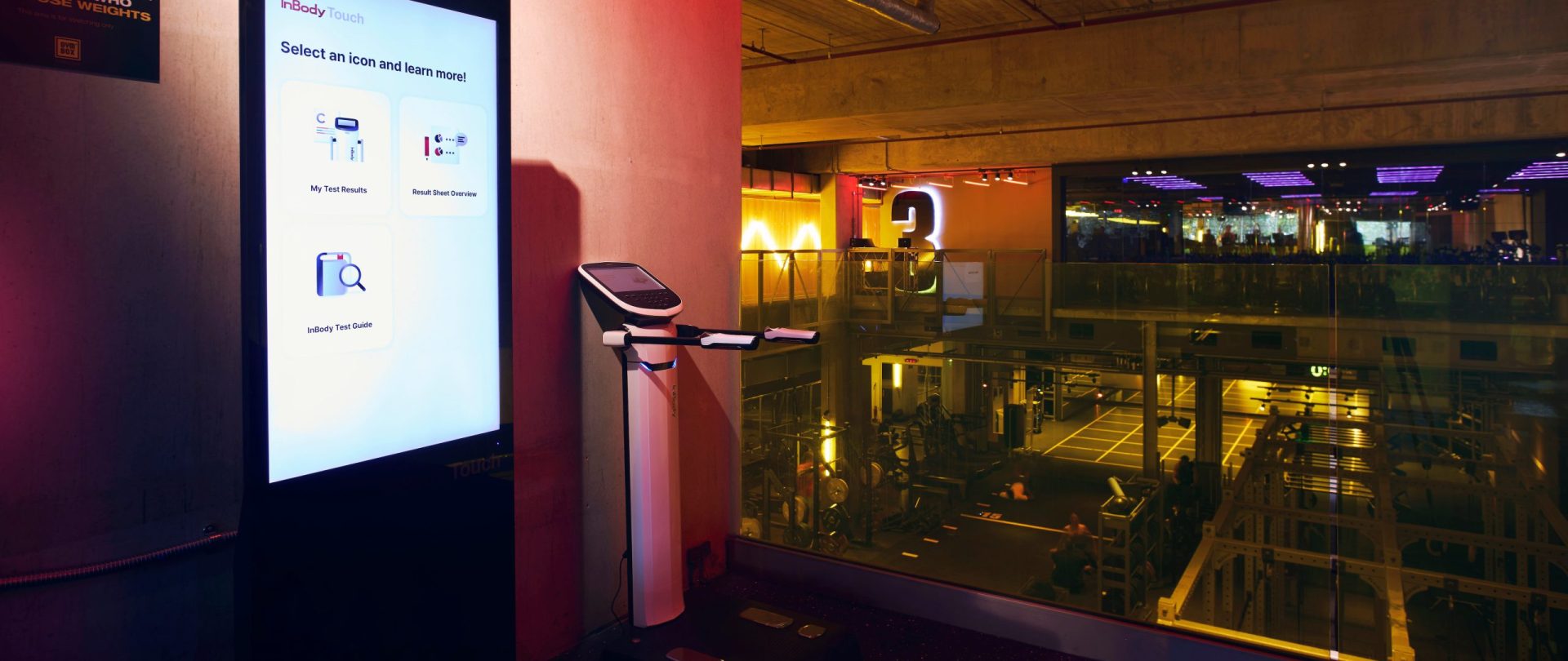 gymbox elephant & castle inbody scanner