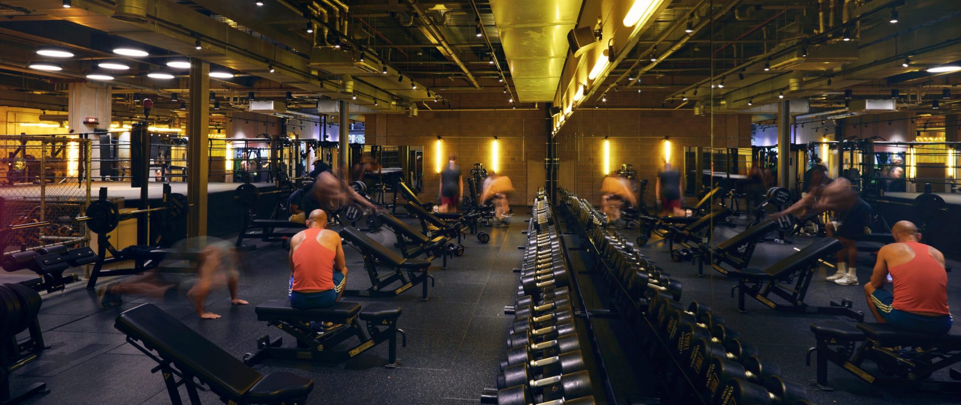 gymbox elephant & castle free weights area