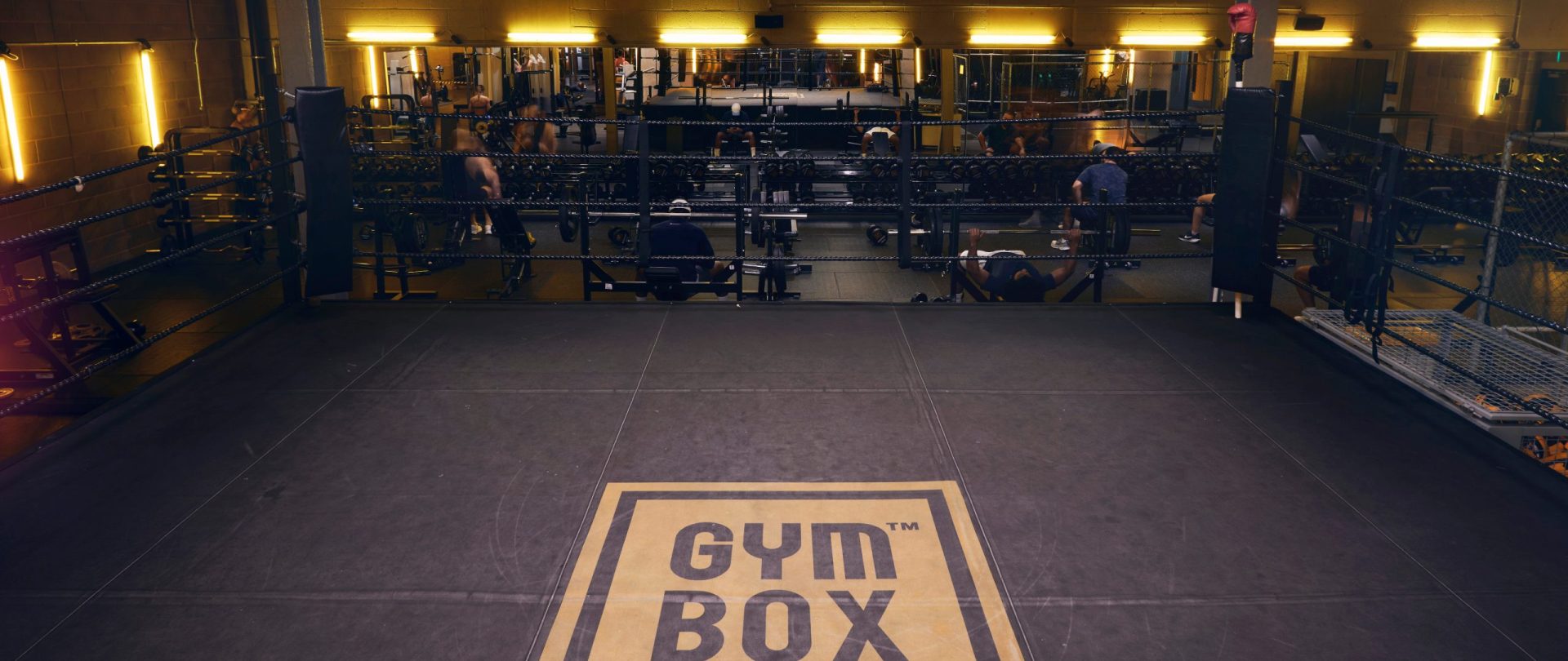 gymbox elephant & castle olympic size boxing ring