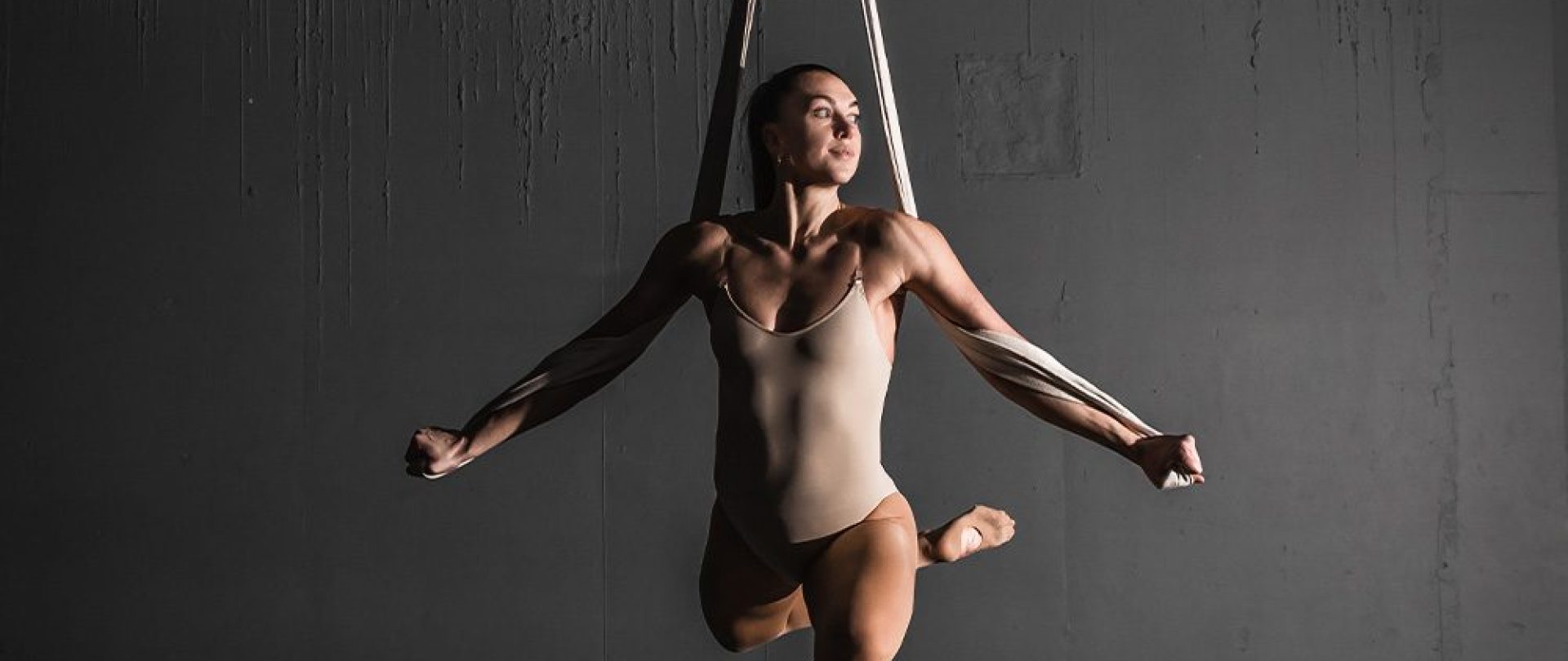 gymbox aerial loops
