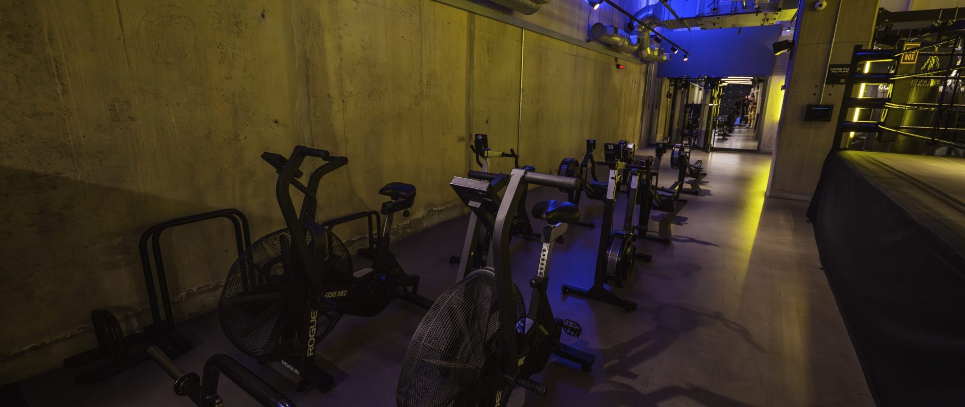 Gymbox Ealing functional training