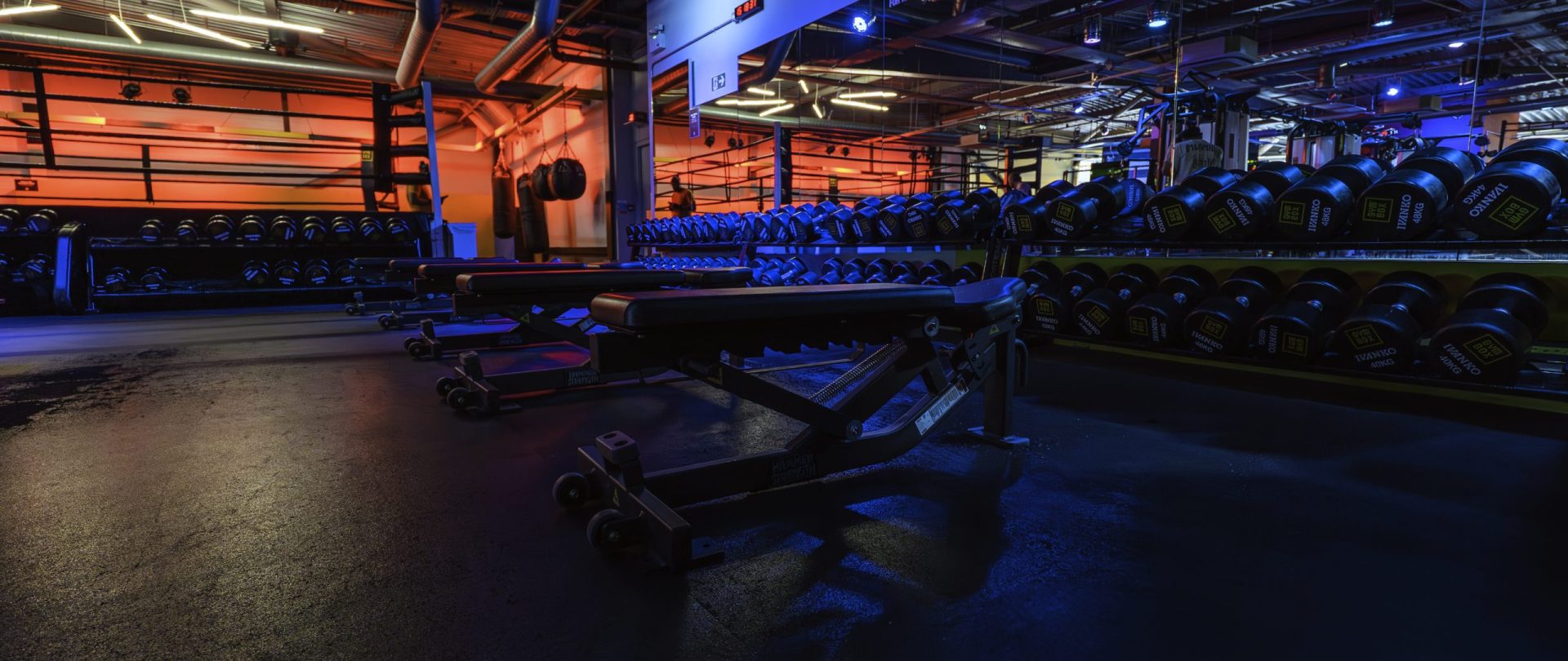 Westfield Shepherds Bush, free weights area