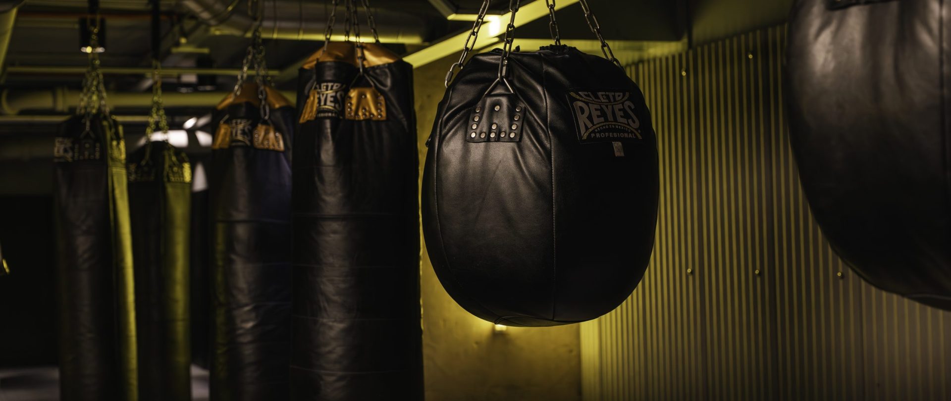 Gymbox Farringdon gym near Chancery Lane boxing and muay thai bags