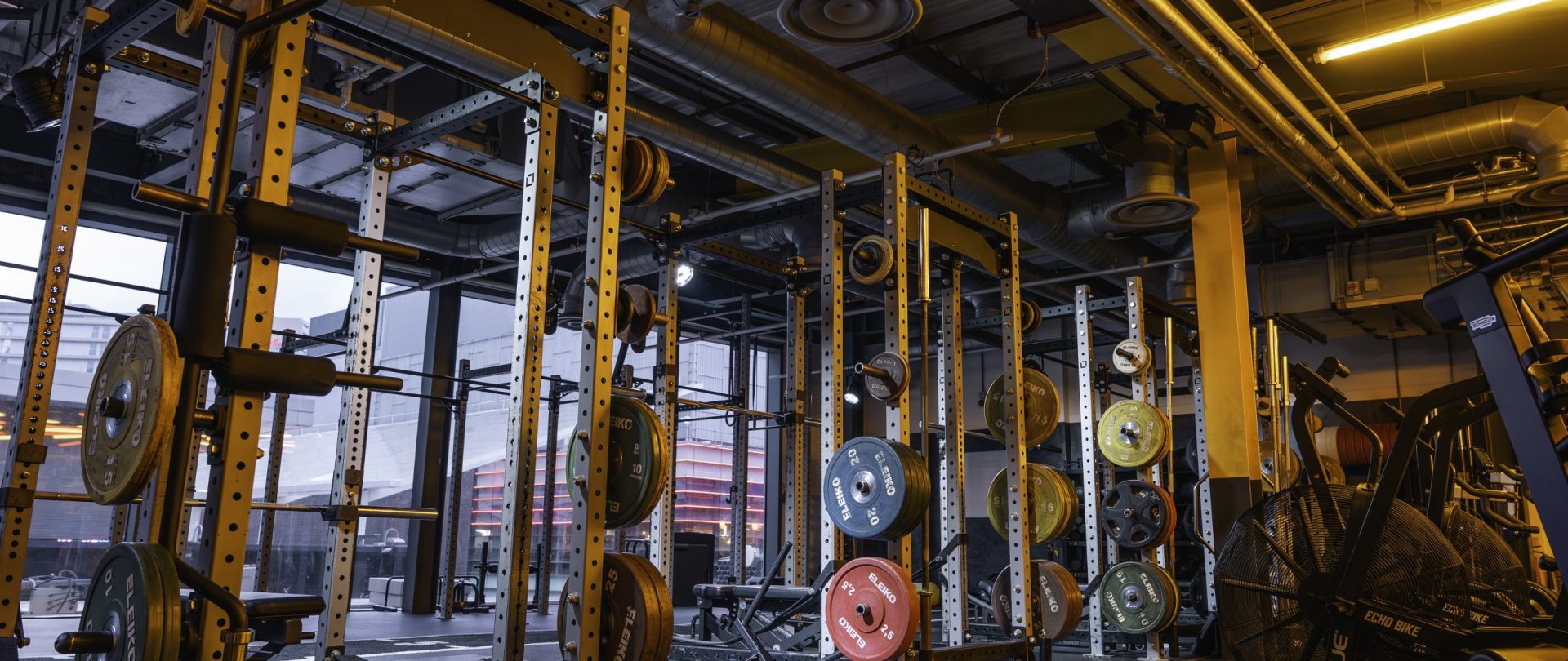 Gymbox Stratford Free Weights