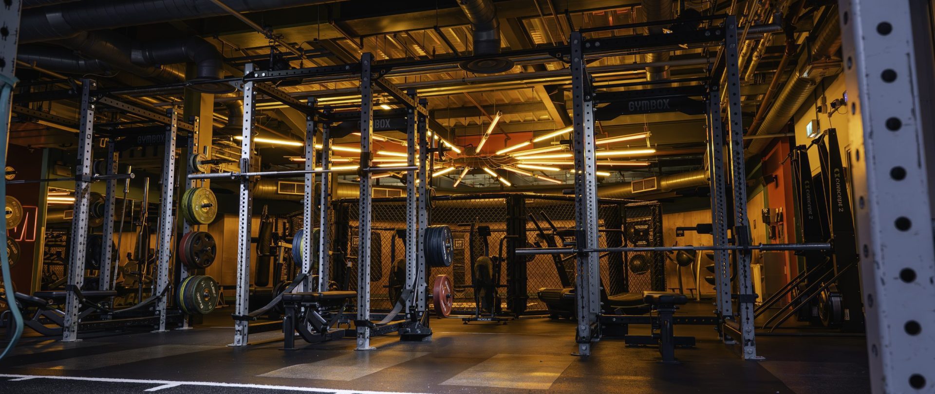 Gymbox Westfield Stratford, Olympic lifting platforms