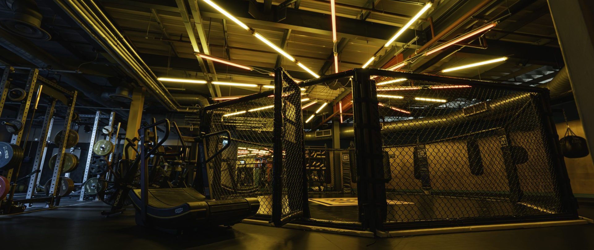 Gymbox Stratford, combat octagon