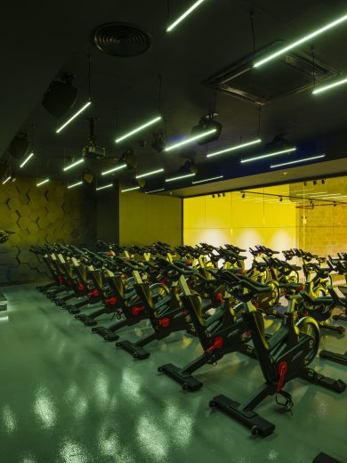 gymbox-location-elephant-1